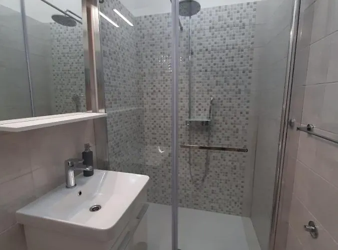 中心公寓 公寓 *