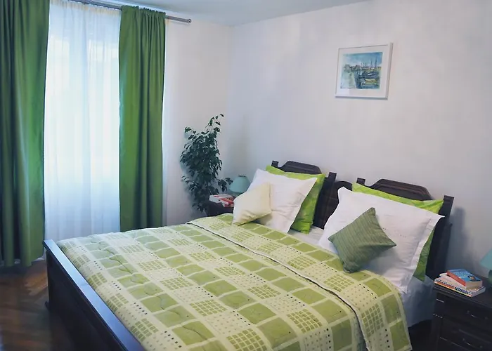 公寓 中心公寓 *