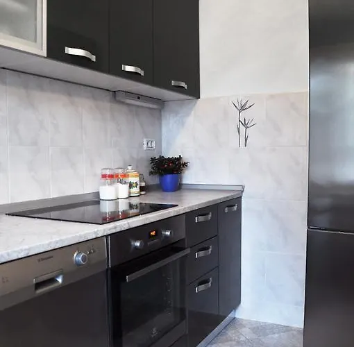 公寓 中心公寓 *